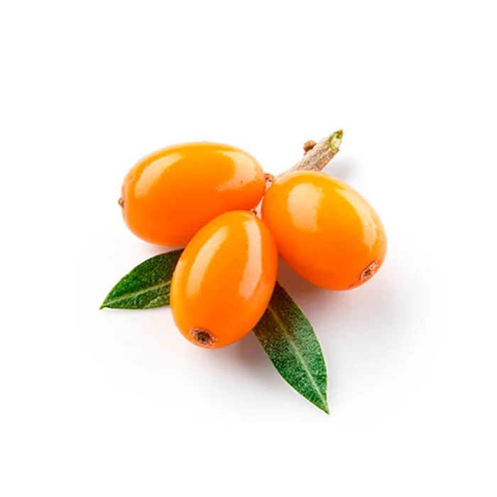 Rakytníkové plody, tiež známé ako „Lemon of the North“ – je severské divoko-rastúce ovocie ker, ktoré sa používa  v kulinárskych kontextoch. 
